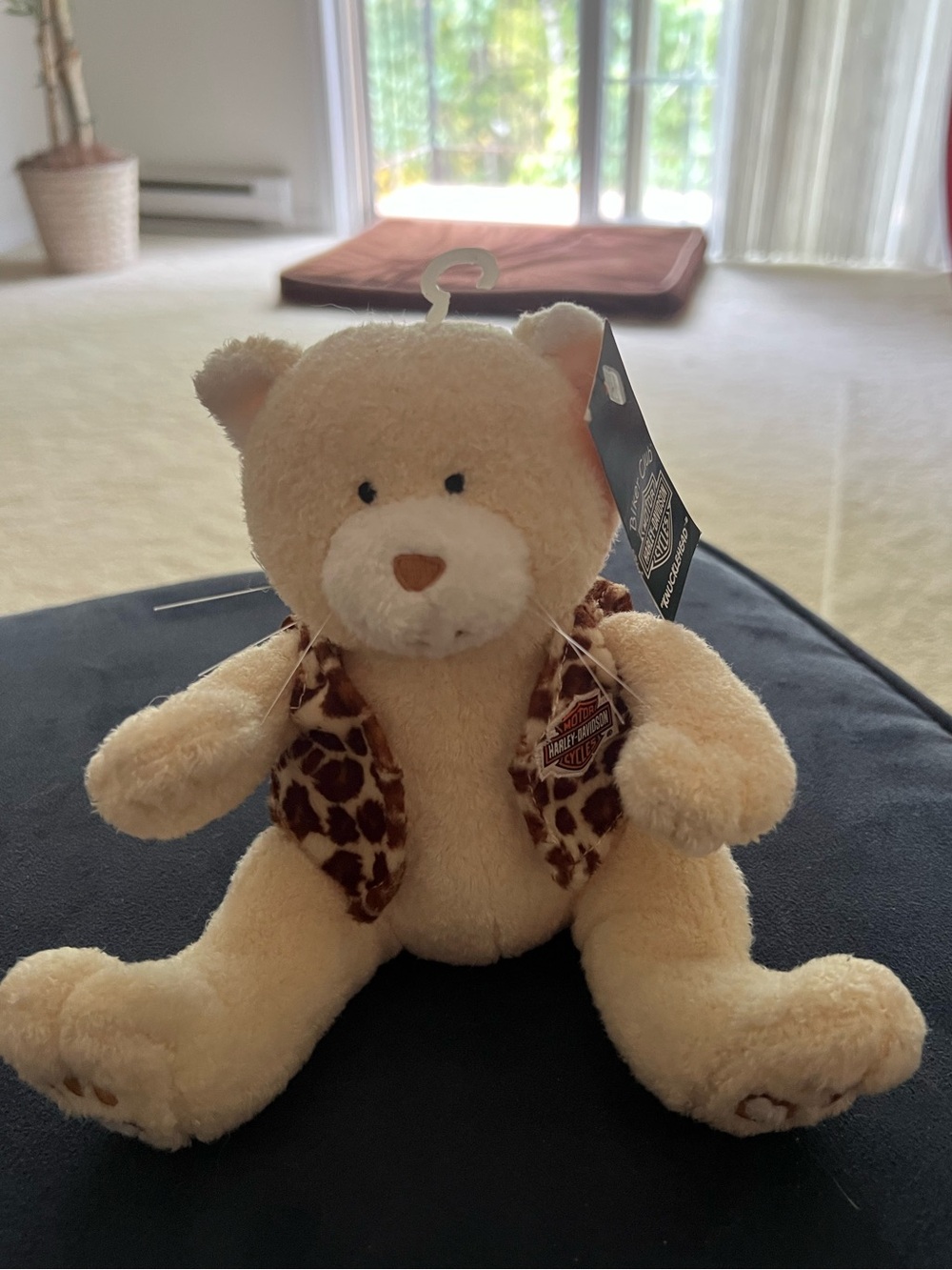 Harley-Davidson Cream Teddy Bear with Leopard-Print Vest